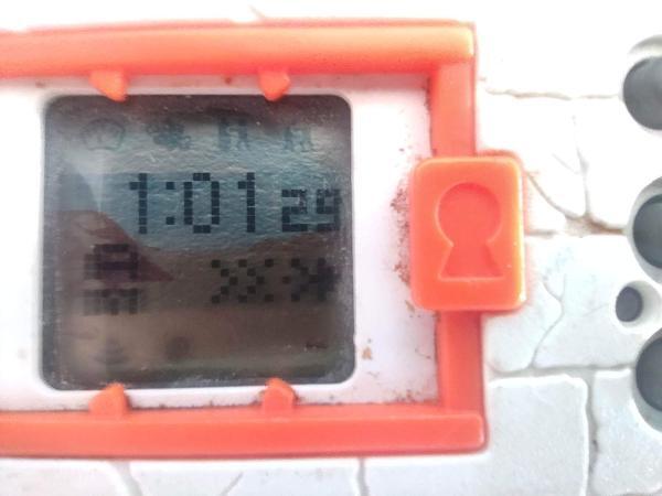 Digimon Digivice Digital Monster Ver 2 White with orange Bandai Boutique-Tamagotchis 4