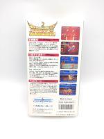 Super Famicom SFC SNES Hiryuu no Ken S Golden Fighter Japan shvc-hk Boutique-Tamagotchis 5
