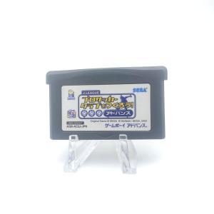 Tamagotchi Nintendo  Game Boy Japan Boutique-Tamagotchis 5