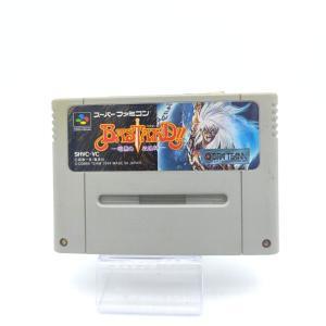 Super Famicom SFC SNES Bastard!! – Ankoku no Hakaishin Japan Boutique-Tamagotchis