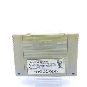 Super Famicom SFC SNES Bastard!! – Ankoku no Hakaishin Japan Boutique-Tamagotchis 2