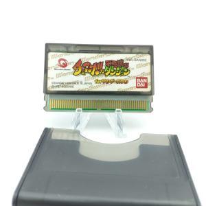 WonderSwan CHOCOBO NO FUSHIGI NA DUNGEON JAPAN Boutique-Tamagotchis